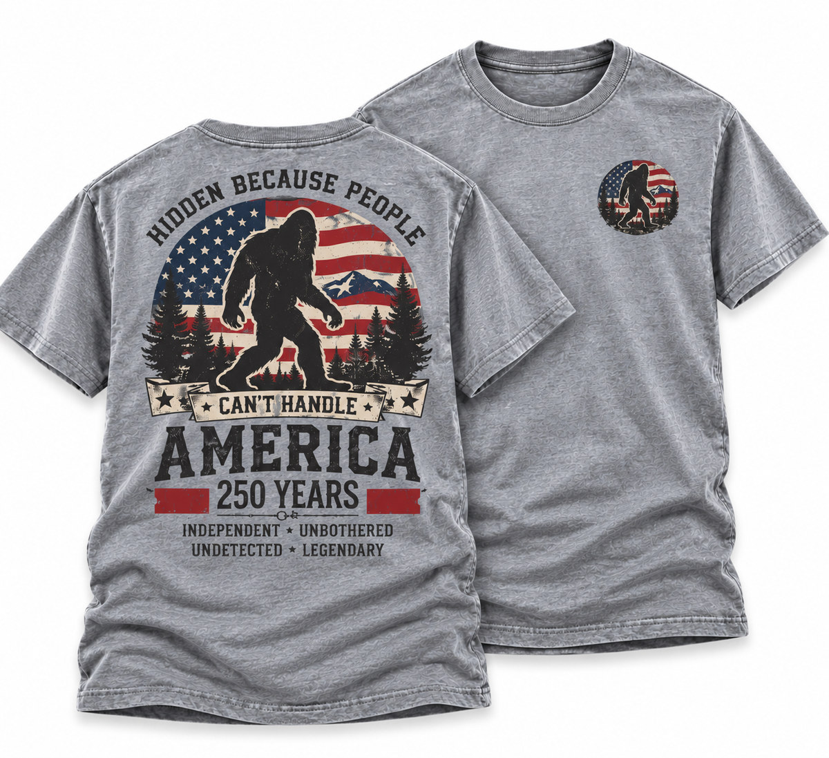 SASQUATCH 250 YEARS T-SHIRT - GRAY